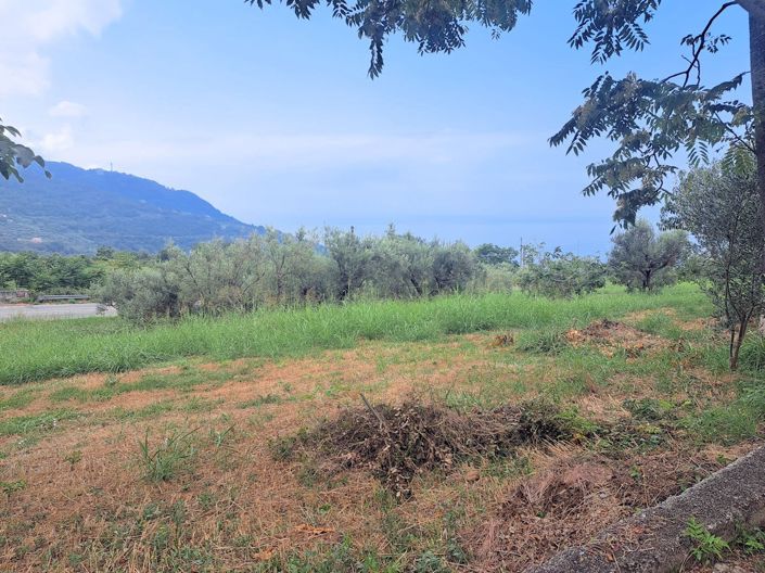 Image No.25-4 Bed House for sale