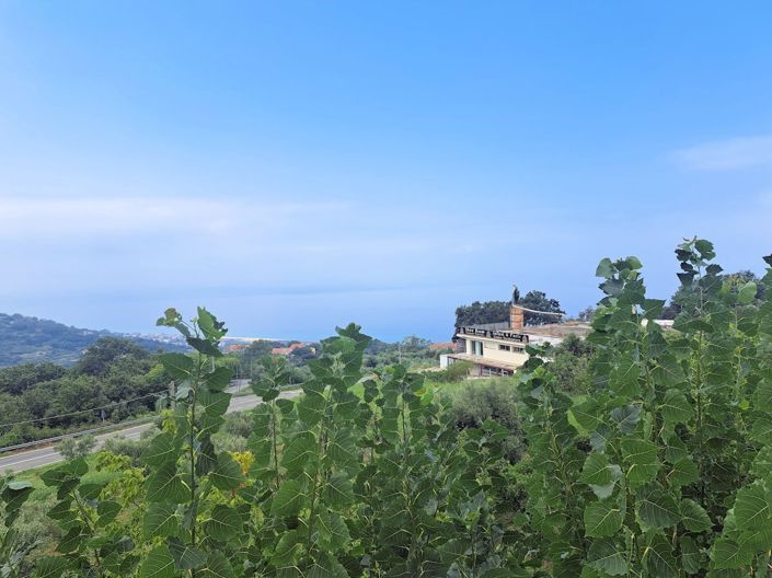 Image No.27-4 Bed House for sale