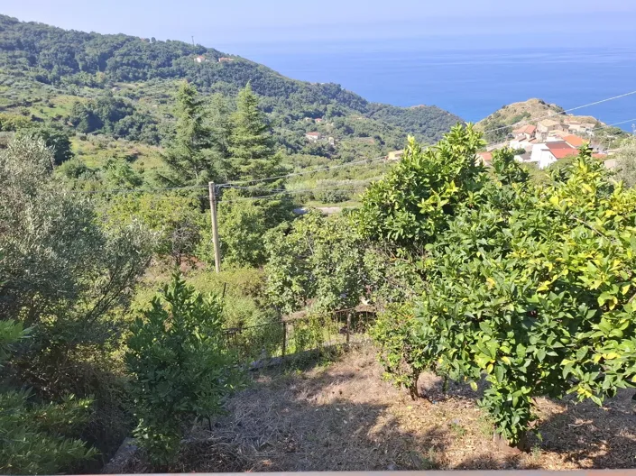 Image No.26-4 Bed House for sale