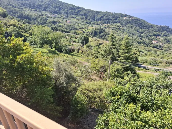 Image No.29-4 Bed House for sale