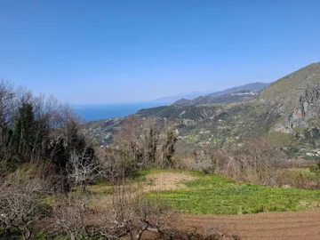 original20250306-13153567dc34aa55831jpg