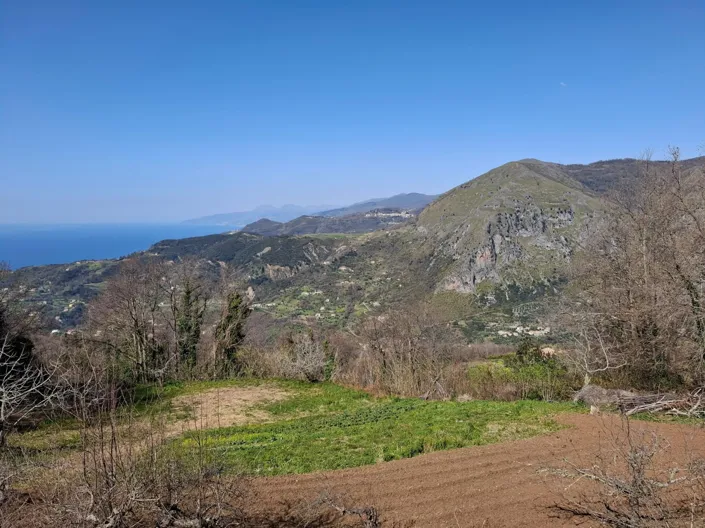 Image No.16-2 Bed House for sale