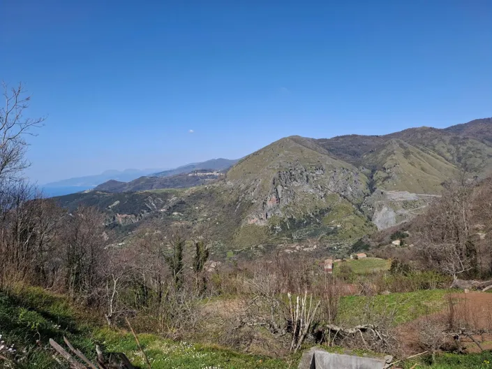 Image No.21-2 Bed House for sale