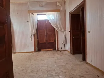 original20241128-10131968499616727d4jpg