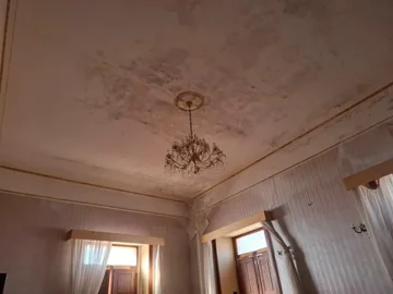 original20241128-1013286849961c886d7jpg