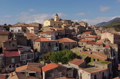 originaldji-022268597f551141cjpg