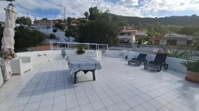 original20250905-09124468c7de34b2ec4jpg