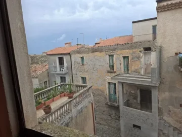 original20250823-11162868d417033c720jpg