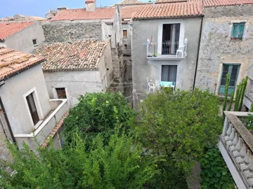 original20250823-11113968d416cac18c9jpg