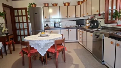 original20250909-09431368deb1a51445ejpg