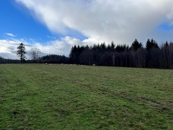Image No.7-Ferme de 3 chambres à vendre à Saint-Yrieix-la-Perche