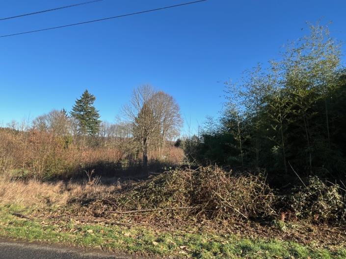 Image No.5-Terrain à vendre à Ladignac-le-Long