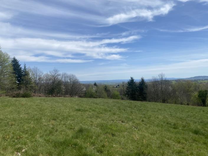 Image No.16-Ferme de 3 chambres à vendre à Juillac