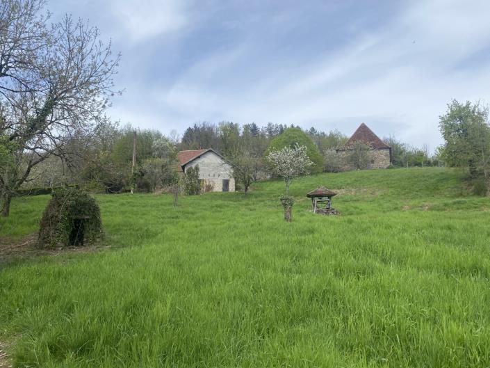 Image No.21-Ferme de 3 chambres à vendre à Juillac