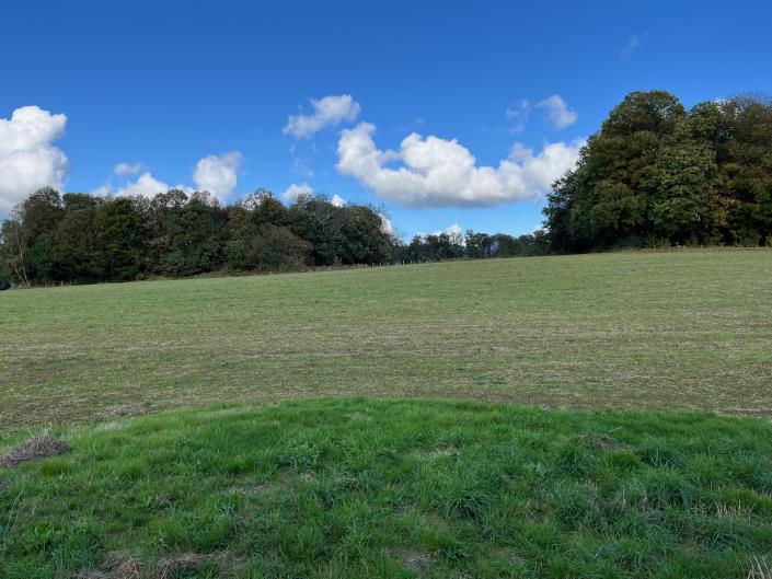 Image No.21-Ferme de 1 chambre à vendre à Saint-Germain-les-Belles