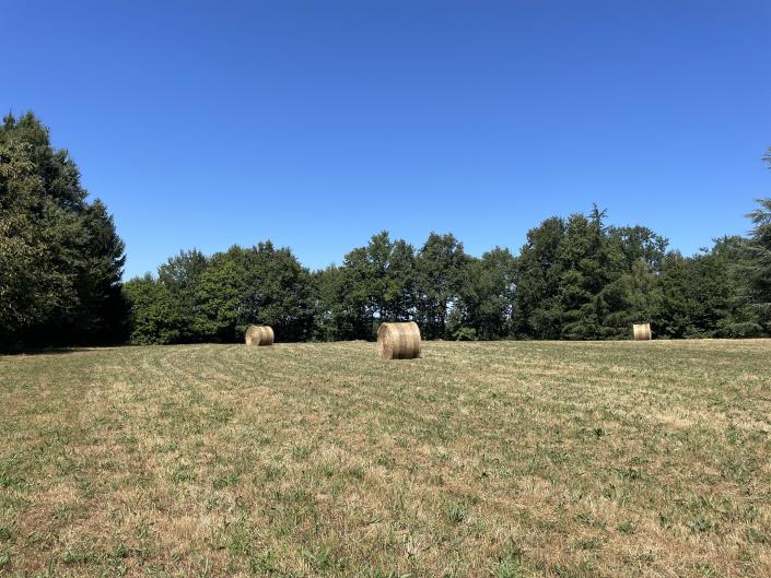 Image No.10-3 Bed Barn for sale