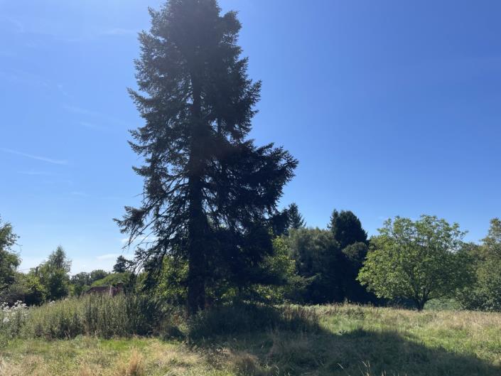 Image No.13-3 Bed Barn for sale