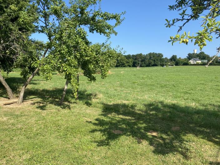 Image No.18-Ferme de 4 chambres à vendre à Saint-Cyr-les-Champagnes