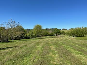 6366_immo_berthou_coussac_bonneval_2_maisons_caracteres_studio_atelier_puits_terrain_vue--66-