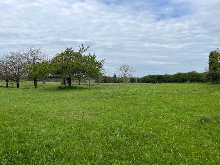 Image No.7-Ferme de 3 chambres à vendre à Dussac