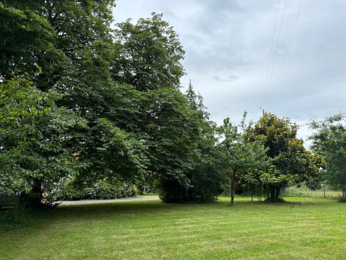 Image No.9-Ferme de 3 chambres à vendre à Dussac