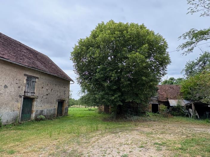 Image No.14-Ferme de 3 chambres à vendre à Dussac