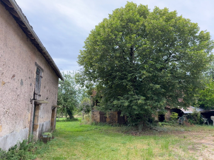 Image No.16-Ferme de 3 chambres à vendre à Dussac