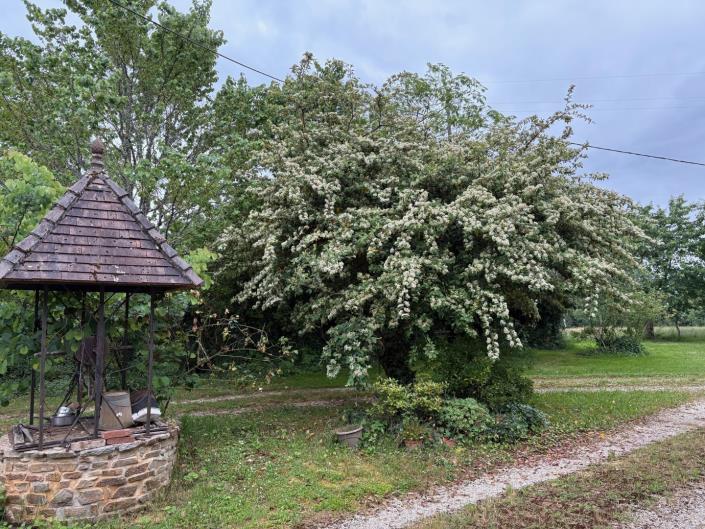 Image No.22-Ferme de 3 chambres à vendre à Dussac