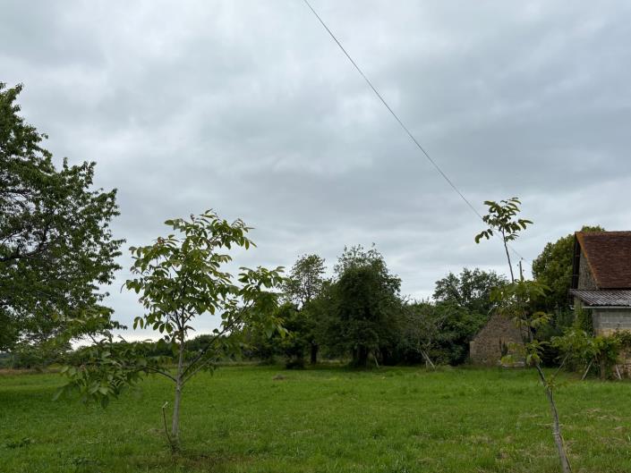Image No.27-Ferme de 3 chambres à vendre à Dussac