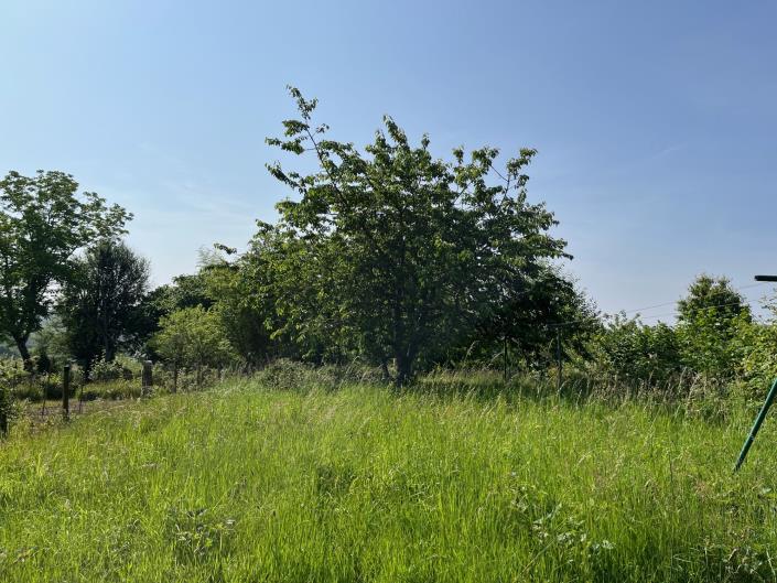 Image No.2-Maison de village de 3 chambres à vendre à Coussac-Bonneval
