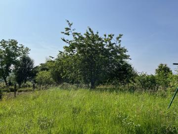 6392_immo_berthou_coussac_bonneval_maison_bourg_6_pieces_jardin_grange_puits--2-