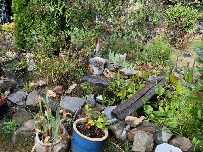 Image No.6-Maison de village de 4 chambres à vendre à Payzac