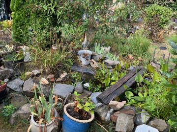 6444_immo_berthou_savignac_ledrier_payzac_maison_du_bourg_6_pieces_jardin_vue--7-