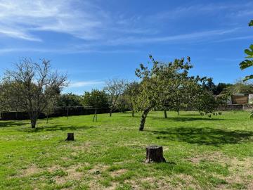 6446_immo_berthou_coussac_bonneval_immeuble_apartements_terrain_bourg--9-