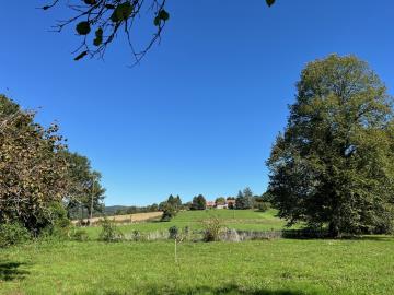 6451_immo_berthou_chateau_chervix_maison_en_pierres_campagne_dependances_terrain_vue_puits--11-