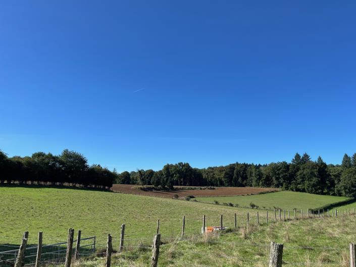 Image No.16-Propriété de pays de 1 chambre à vendre à La Croisille-sur-Briance