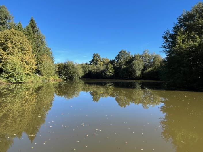 Image No.11-Propriété de pays de 5 chambres à vendre à Coussac-Bonneval