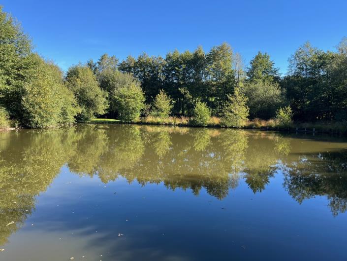 Image No.13-Propriété de pays de 5 chambres à vendre à Coussac-Bonneval