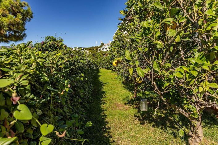 Image No.33-Appartement de 4 chambres à vendre à Estepona