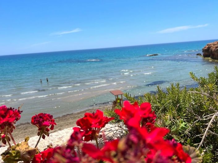 Image No.25-Villa de 3 chambres à vendre à Pilar de la Horadada