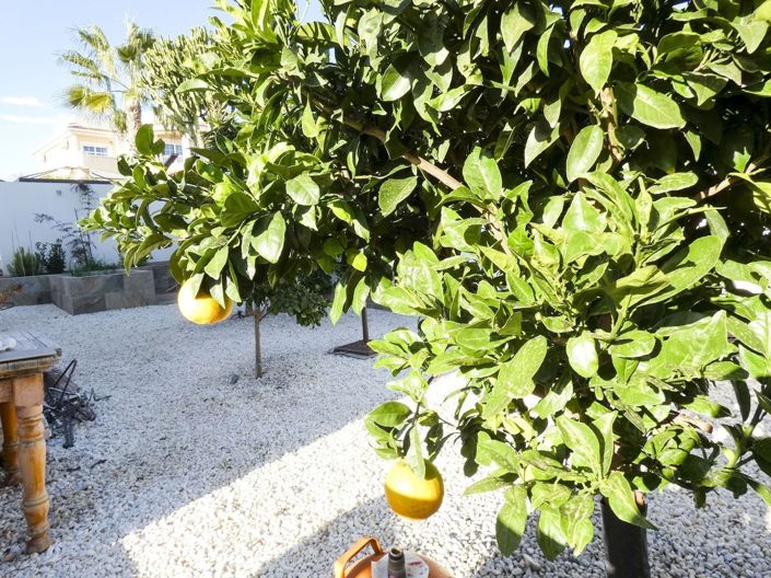 Image No.47-Villa de 5 chambres à vendre à Ciudad Quesada