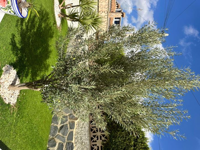 Image No.47-Villa de 4 chambres à vendre à Villamartin