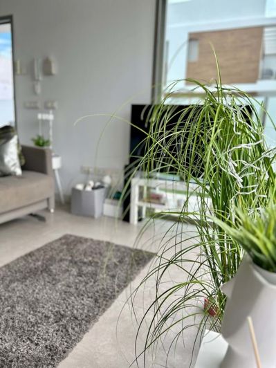 Image No.35-Villa de 3 chambres à vendre à Villamartin