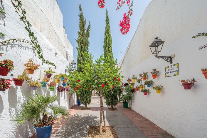 Image No.27-3 Bed Penthouse for sale