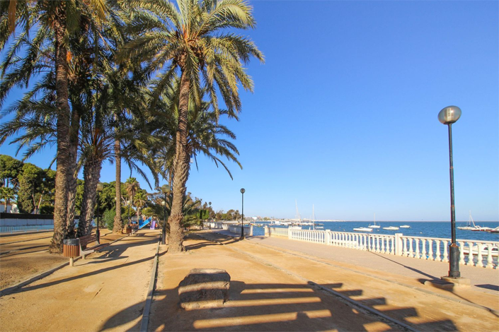 Image No.37-Jumelé de 4 chambres à vendre à Roda Golf