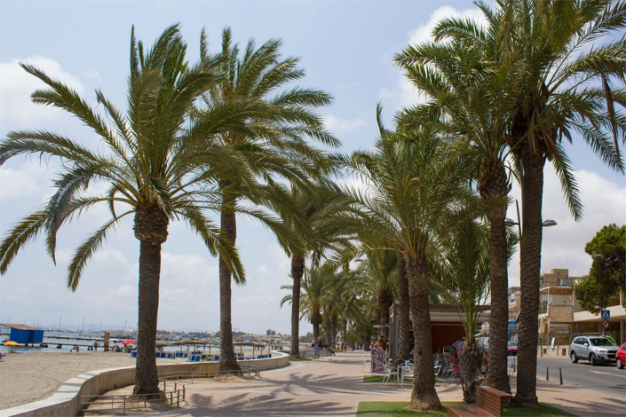 Image No.40-Jumelé de 4 chambres à vendre à Roda Golf