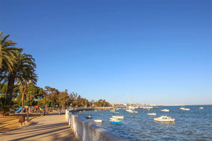 Image No.45-Jumelé de 4 chambres à vendre à Roda Golf