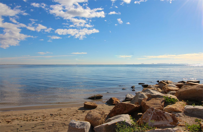 Image No.47-Jumelé de 4 chambres à vendre à Roda Golf