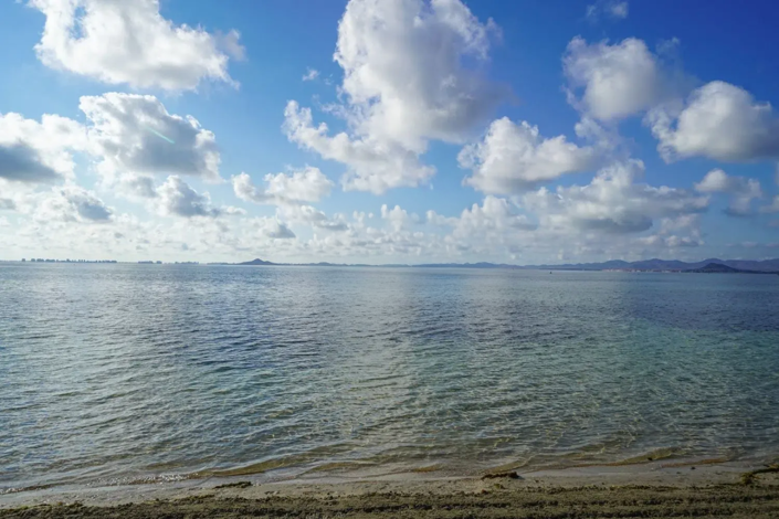 Image No.38-Jumelé de 3 chambres à vendre à Murcie