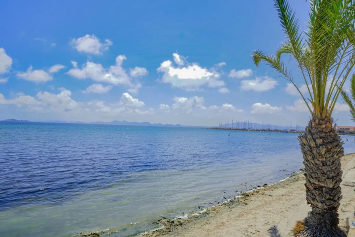 Image No.39-Jumelé de 3 chambres à vendre à Murcie